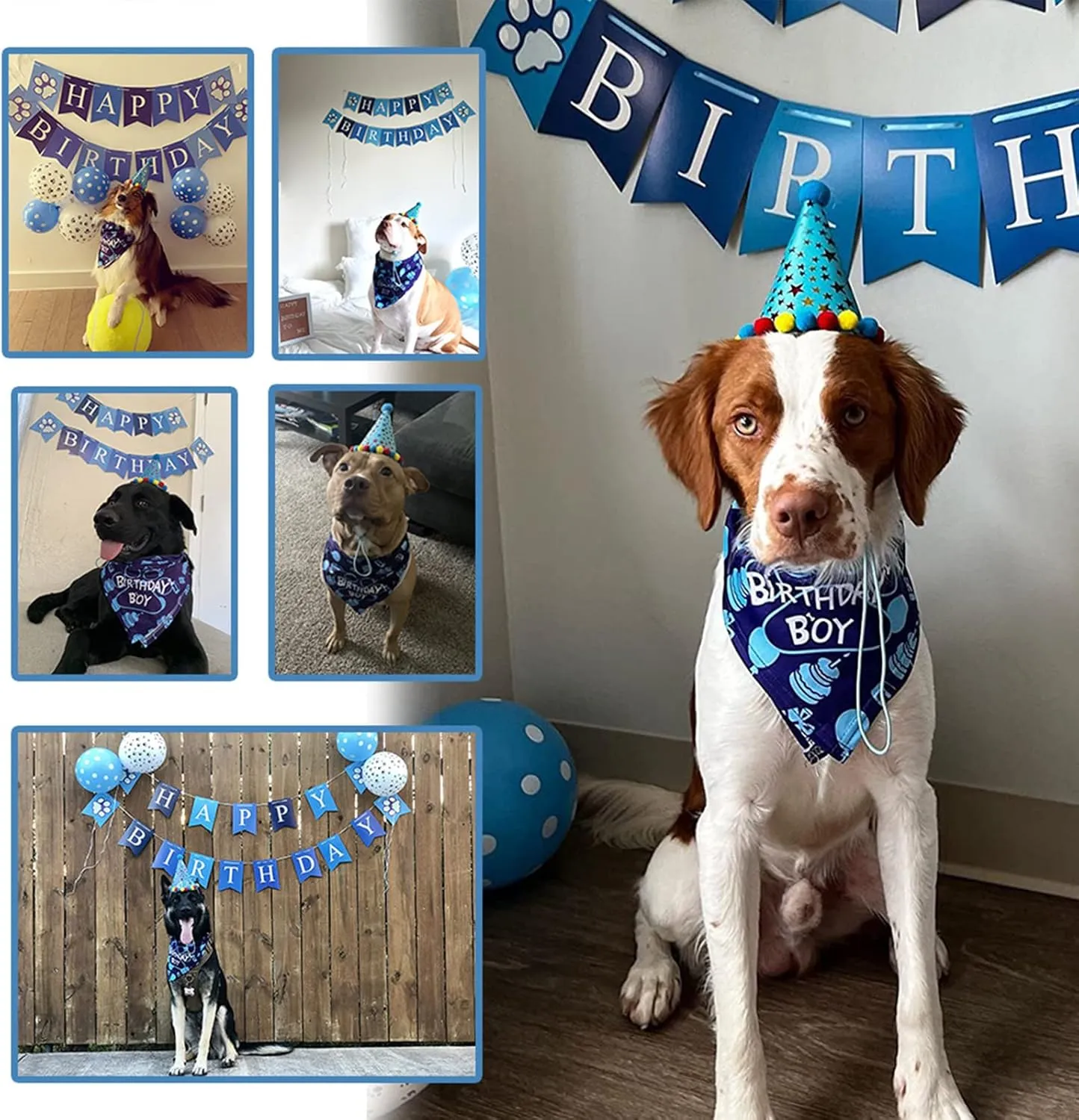 TCBOYING Dog Birthday Bandana, Dog Birthday Boy Hat Scarfs Flag Balloon with Cute Doggie Birthday Party Supplies Decorations(11-Piece Set) (Blue) (Style1, Blue)
