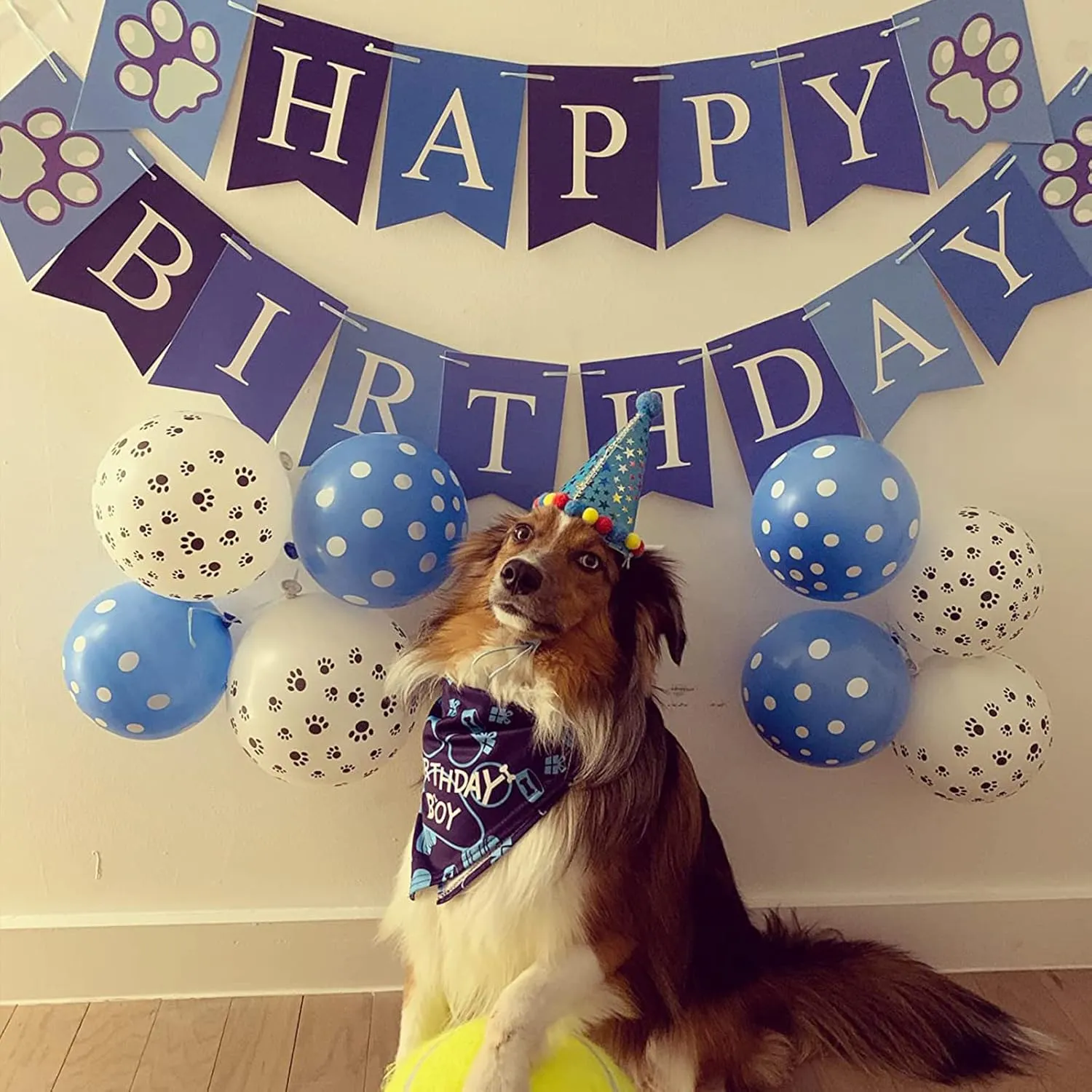 TCBOYING Dog Birthday Bandana, Dog Birthday Boy Hat Scarfs Flag Balloon with Cute Doggie Birthday Party Supplies Decorations(11-Piece Set) (Blue) (Style1, Blue)